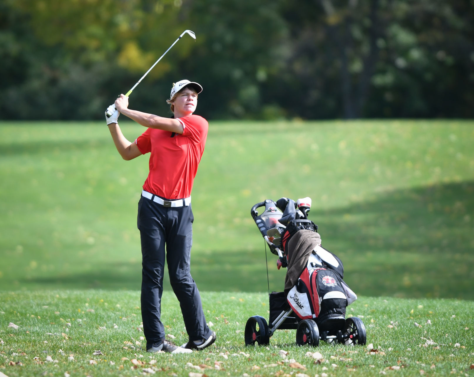 Aledo Class 1A Golf Sectional